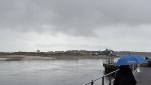 BayWatch information for Tuesday