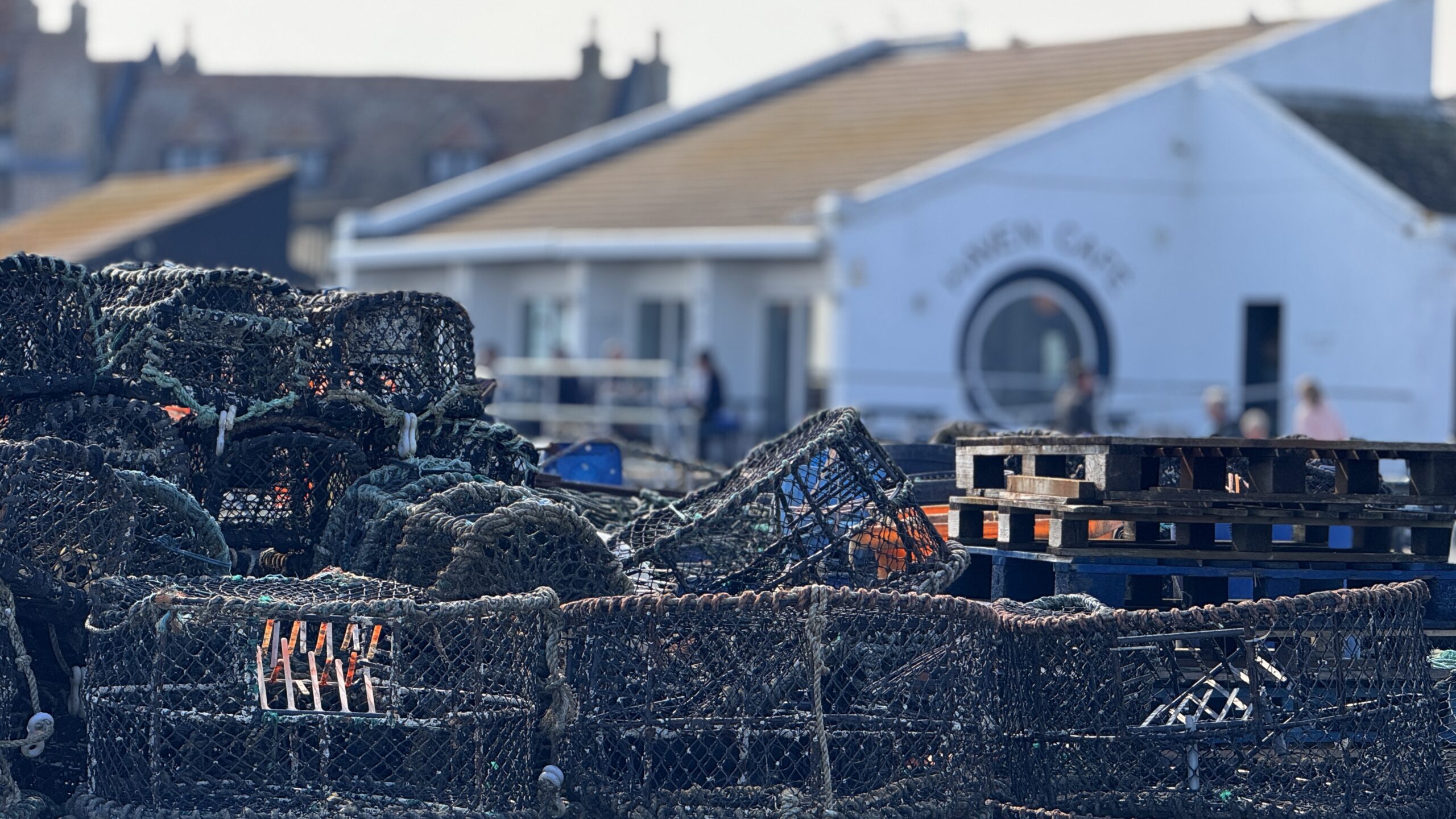 BayWatch information for Friday