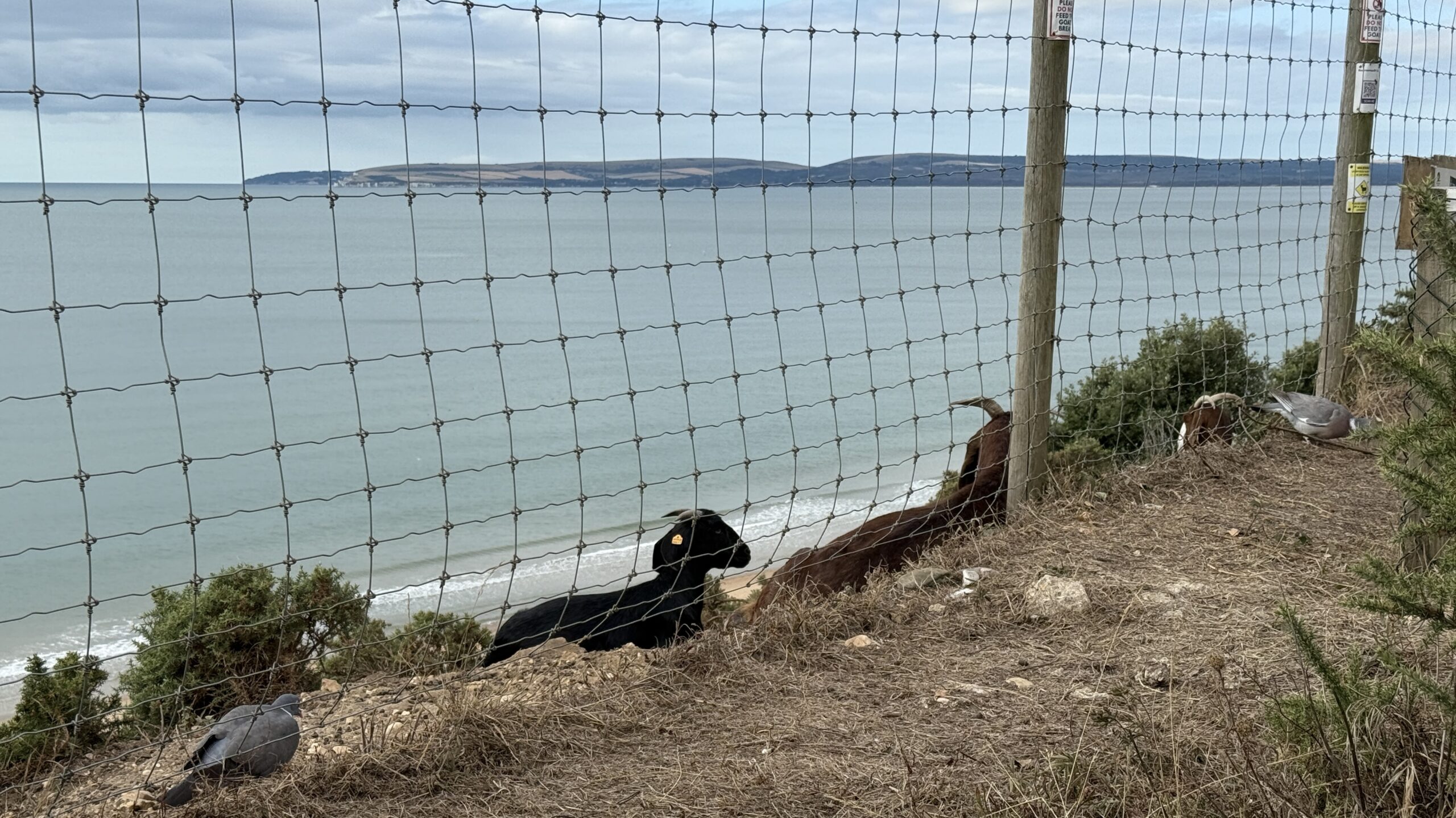 BayWatch information for Monday