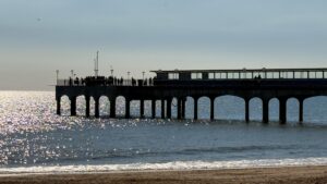 BayWatch information for Thursday