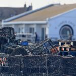 BayWatch information for Friday