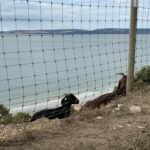 BayWatch information for Monday